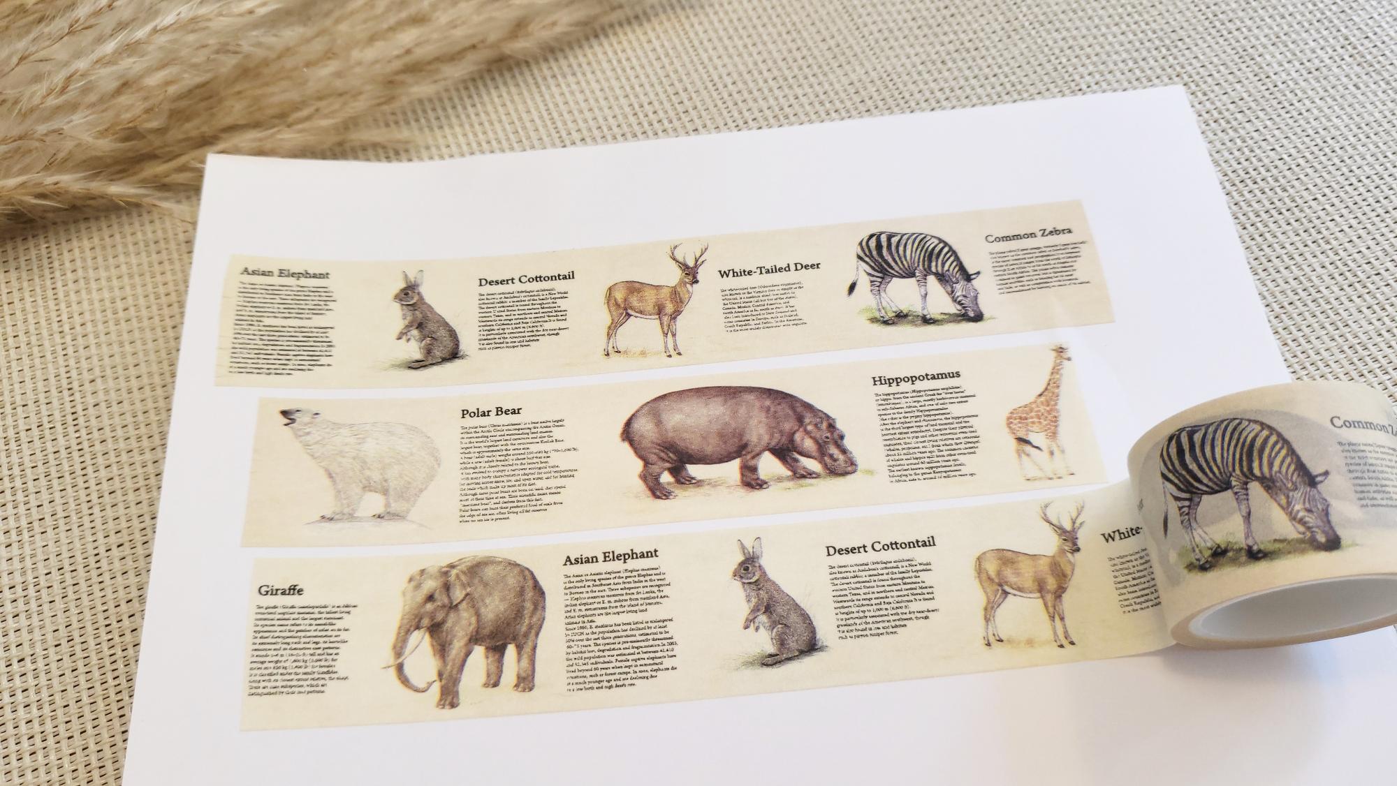 Design Washi Tape Encyclopaedia